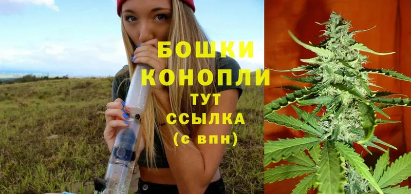 kraken ССЫЛКА  купить   Апшеронск  Бошки марихуана Amnesia 